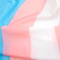 Transgender Flag Meaning